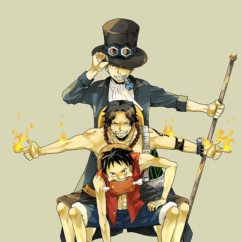 How to Watch One Piece in Order: The Ultimate Viewing Guide